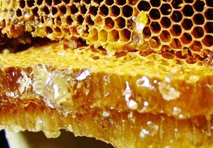 大自然的礼物蜂胶tototago蜂胶即将面市